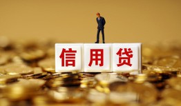 成都空借哪有个人借贷-成都空借小额贷款公司-成都空借私借空放免费上门